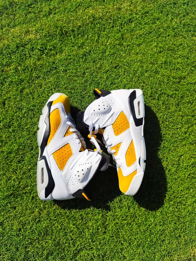 芝に映える

#AJ6