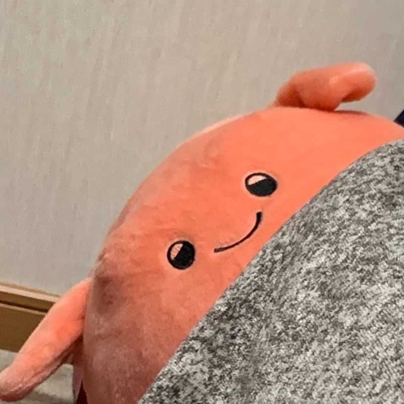 ぴー(出品者)