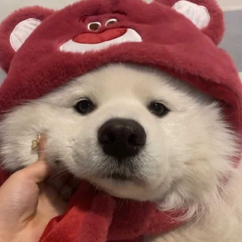 こ。(出品者)