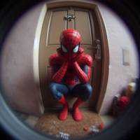 🕸🕷️