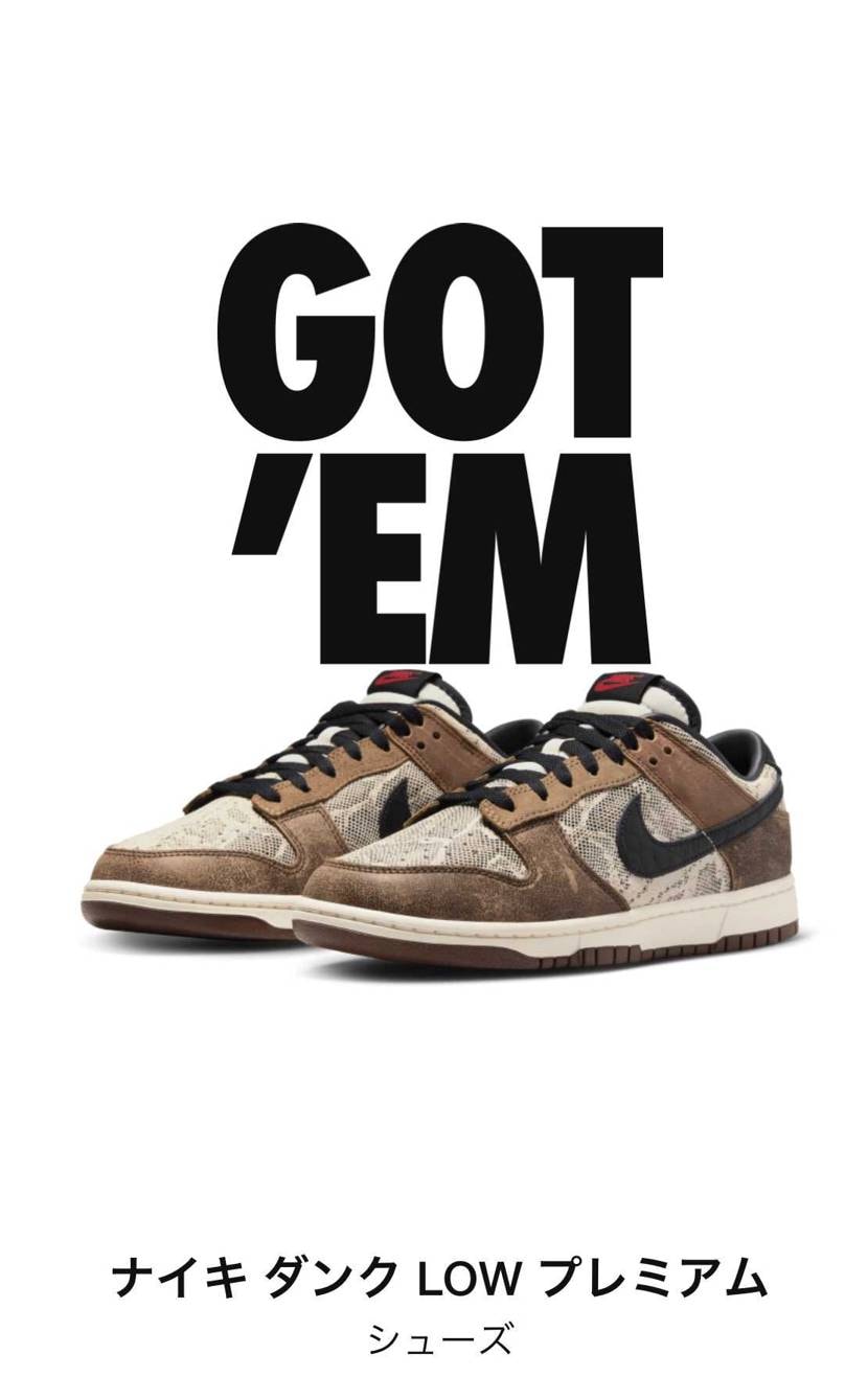 久しぶりにごってむ！