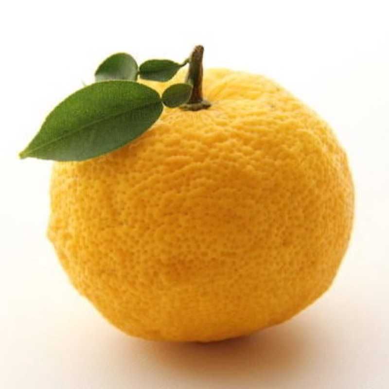 かず