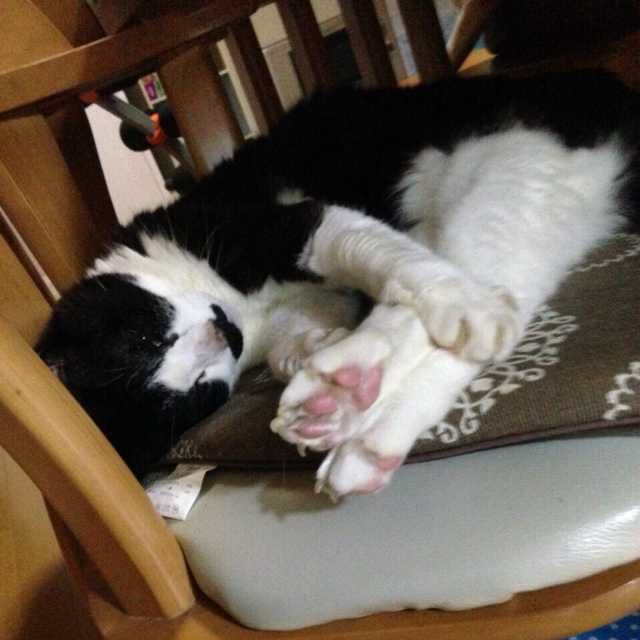 ユーザーアイコン