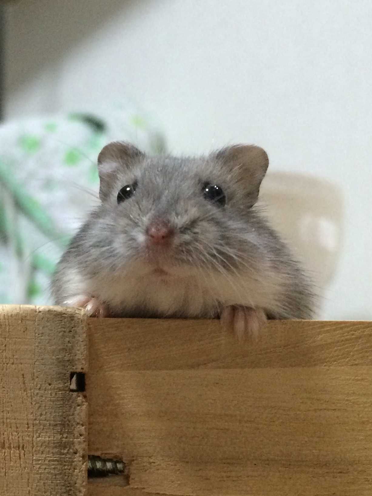 ユーザーアイコン