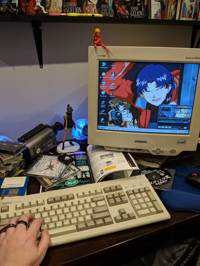 けんけん