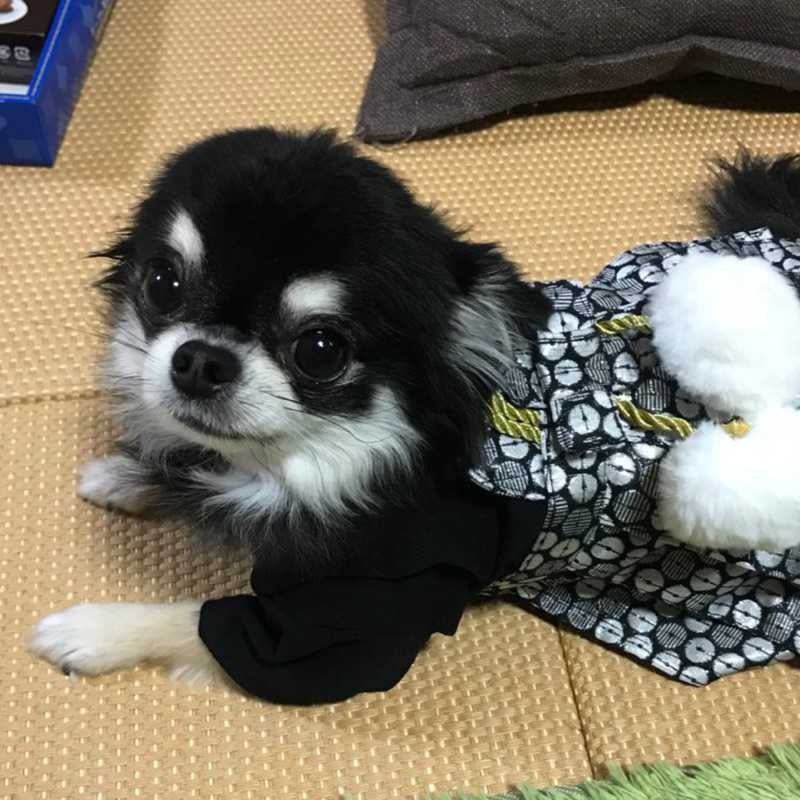河瀬直輝(出品者)