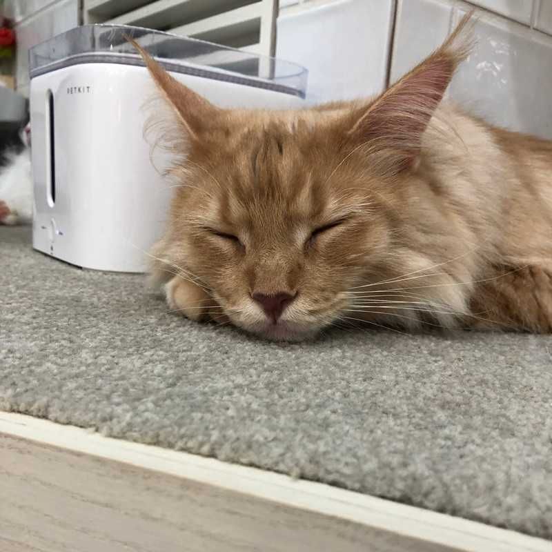 佐生裕介