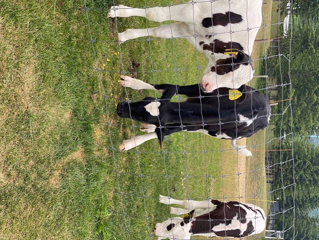 頭の模様‼️
衝撃的だったんで皆さんにも‼️笑