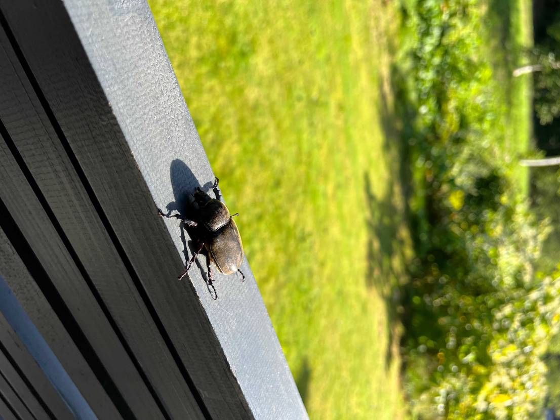 アザエル履いて…

京極からニセコのコテージへ☺️
ウ