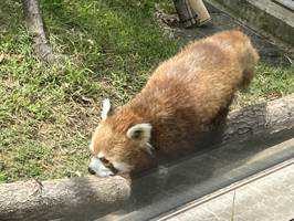 くろ