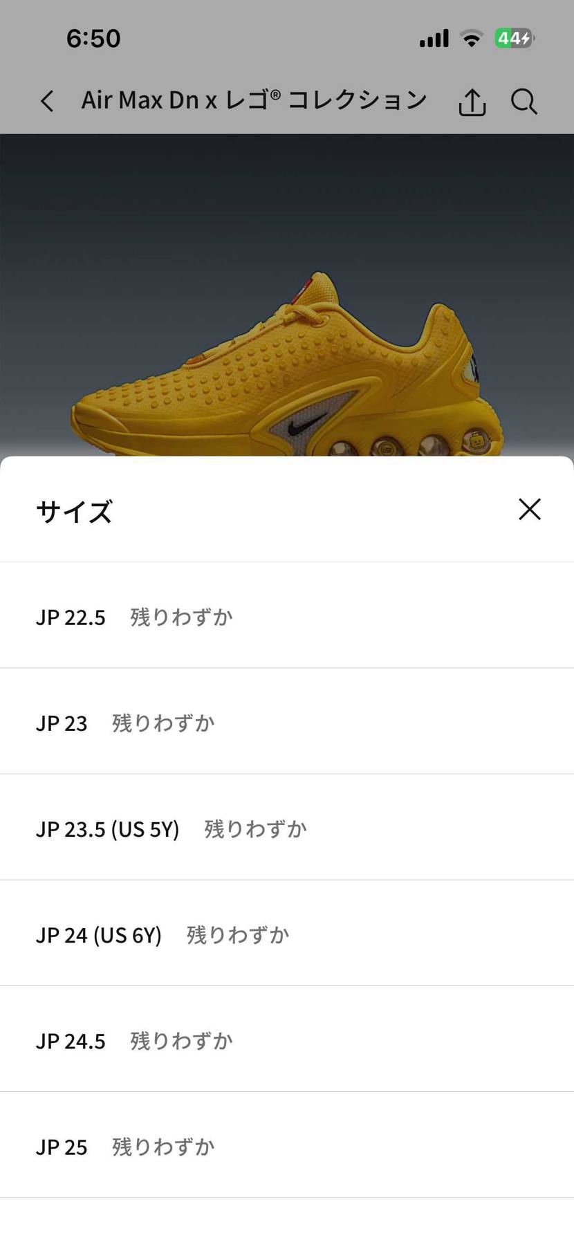 🐿中