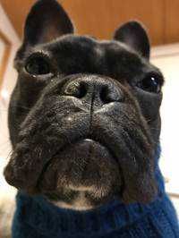 ユーザーアイコン