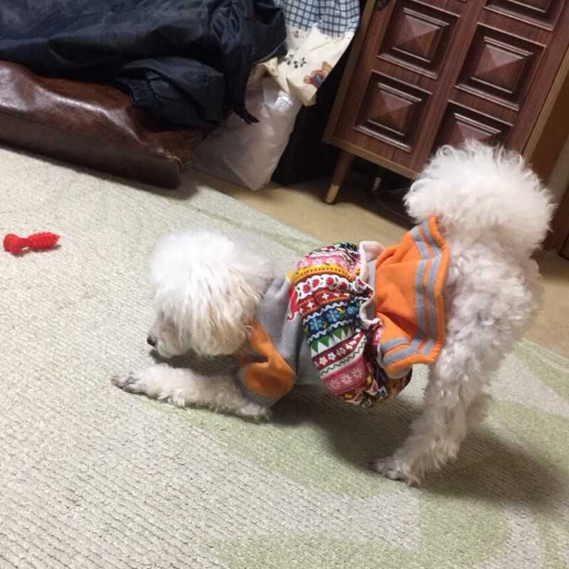Mikkun