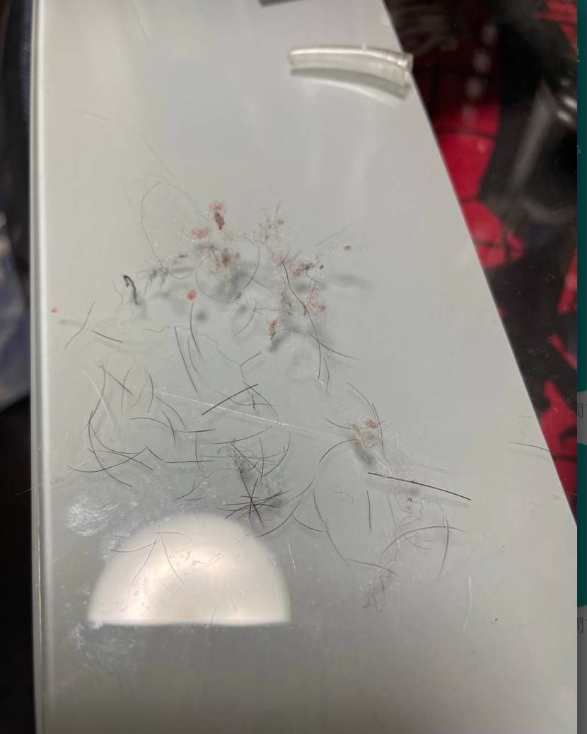 新品のフリースでも多少のゴミとかは許せるけど、ゴミと毛が異常