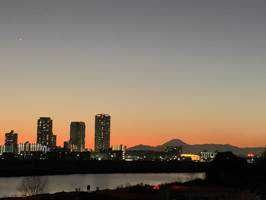 TORIBIRD(出品者)