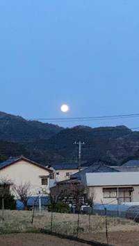 ほっそん