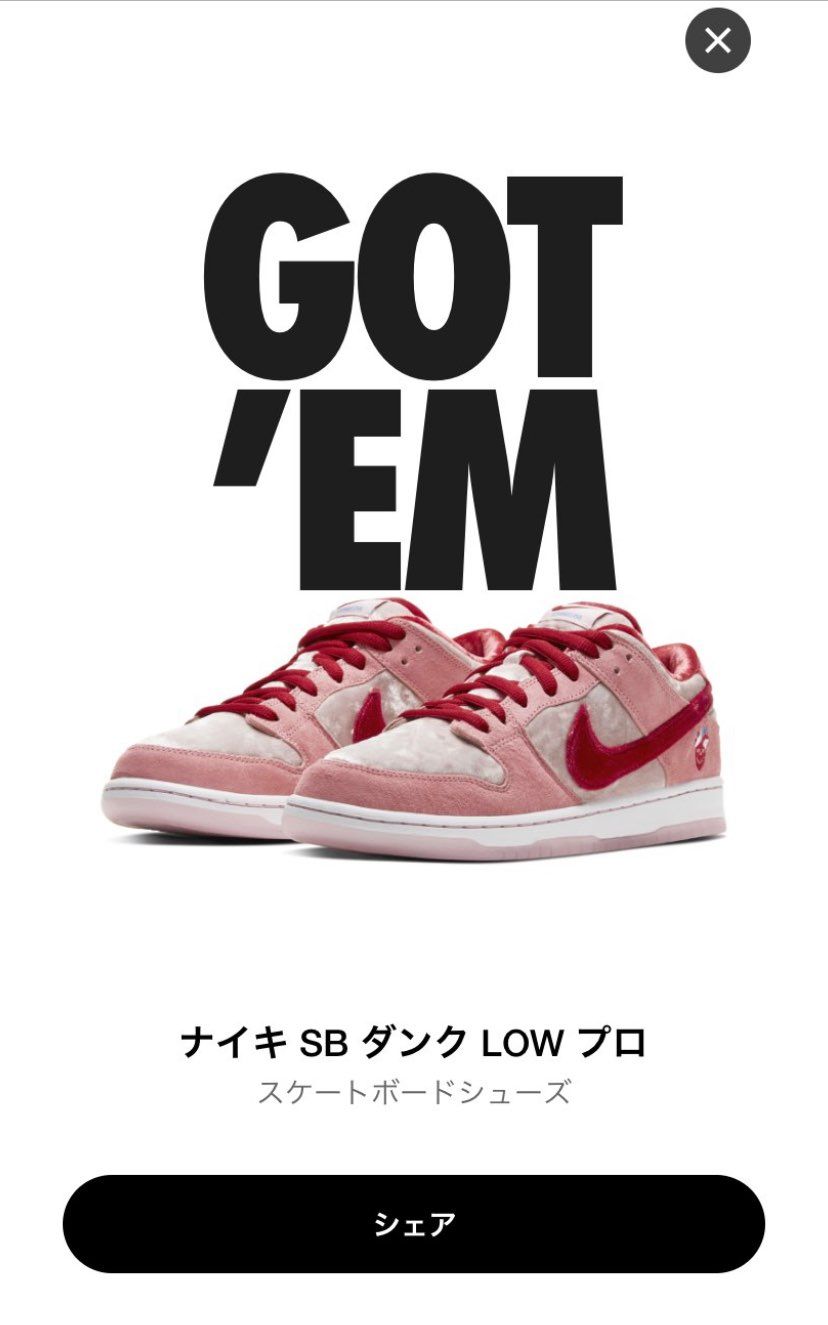 ジョーダンはざんねんだったけど、SB買えたからよかった