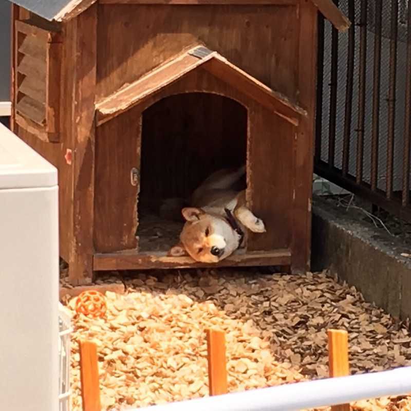しんじ