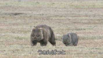 わしも