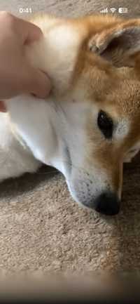 そら