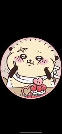 らっこ