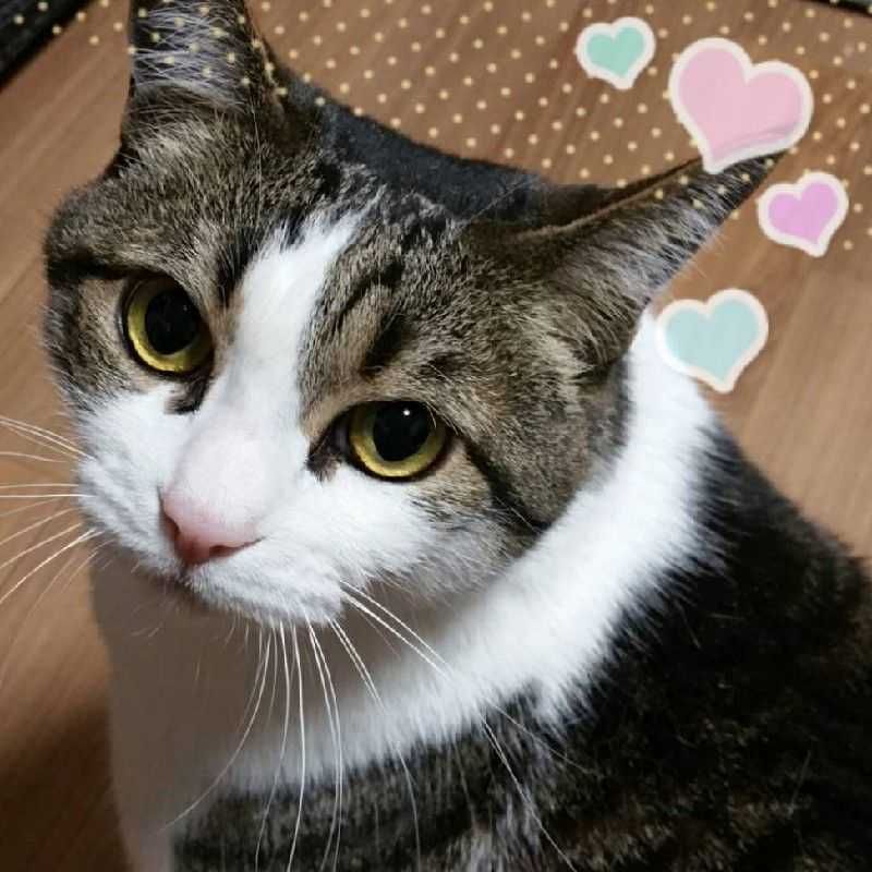 まるぅ