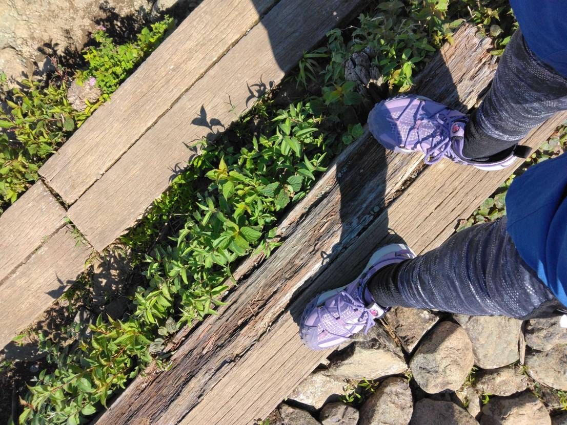 僕らのACG、マウンテンライフに飛び立とうよ。