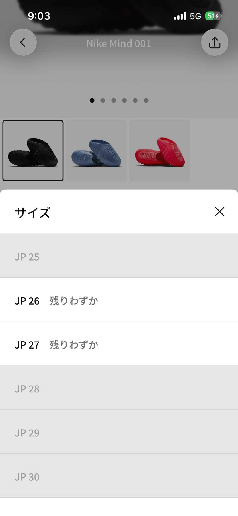 やっとマインドが買えました。

NIKEオンラインは決済