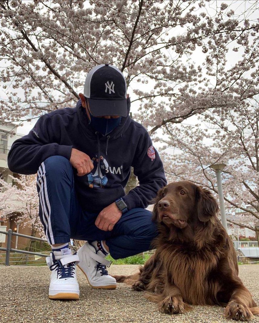 今日はヤンキース👟😊