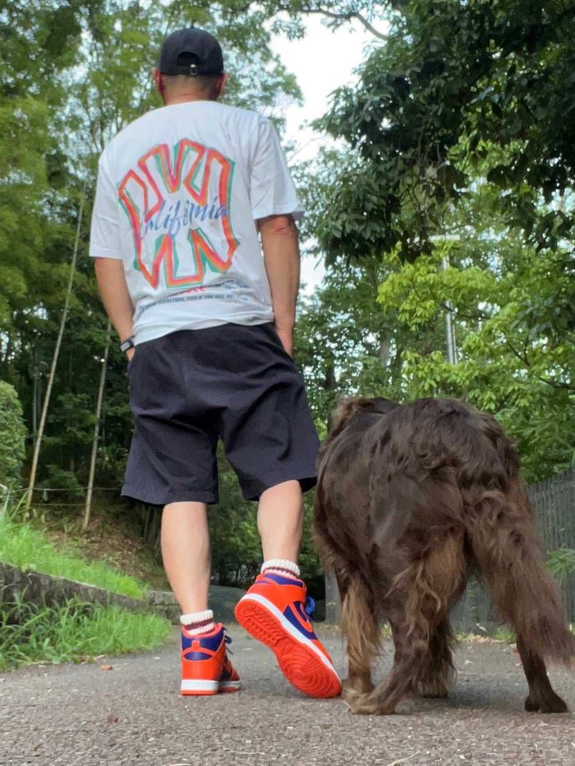 ダンクハイレトロ "オレンジ アンド ディープ ロイヤルで
散歩👟🦮🚶