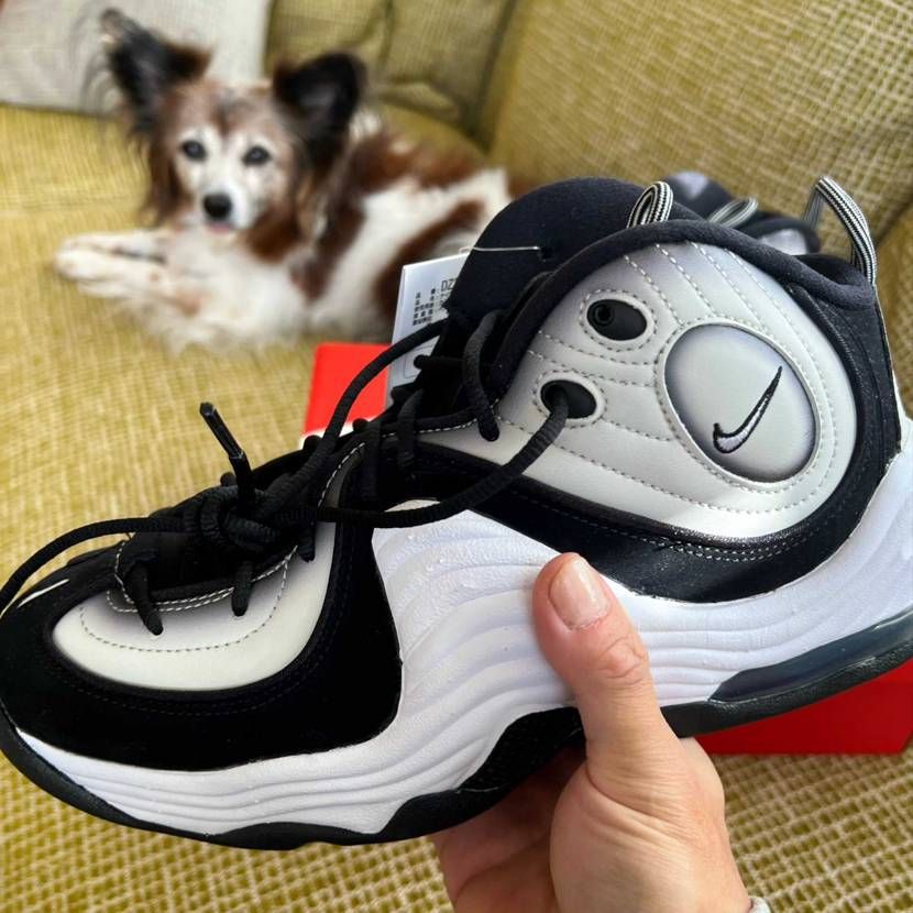 NIKEの年末セール、佐川から荷物受け取ったらエアペニー2だけだった📦エアマック