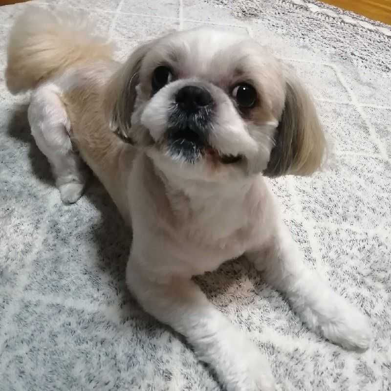 ふくちゃん