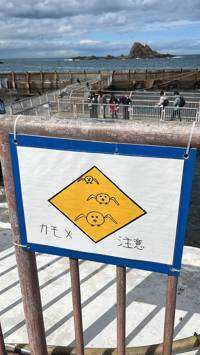 す