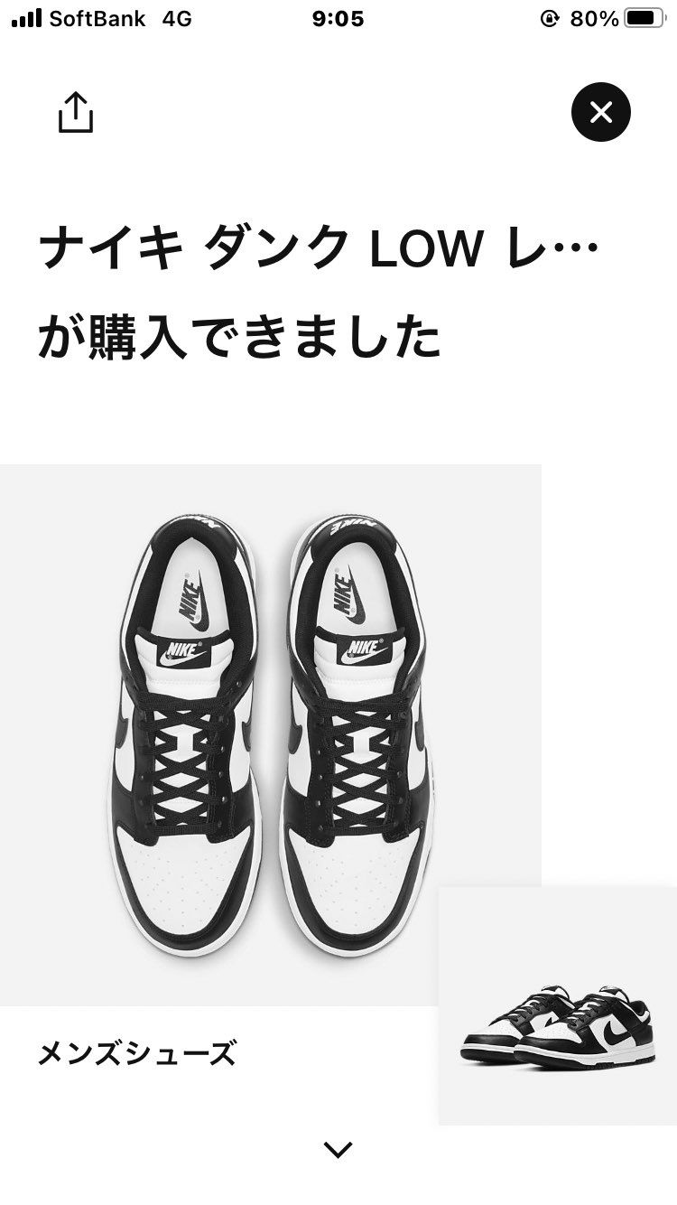 来た✨