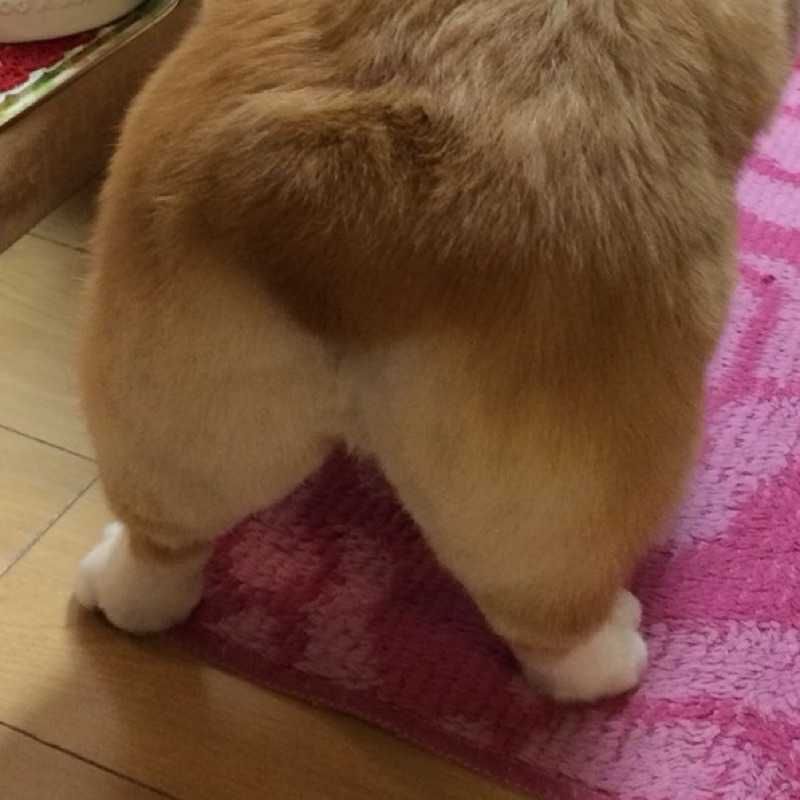 ☆アカキ　ヨラコ☆