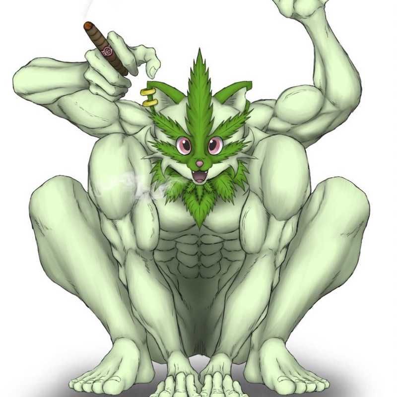 ペンタゴン(出品者)