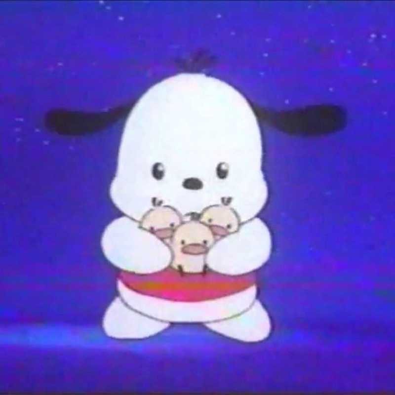 かいと
