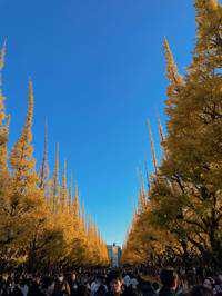 もも(出品者)