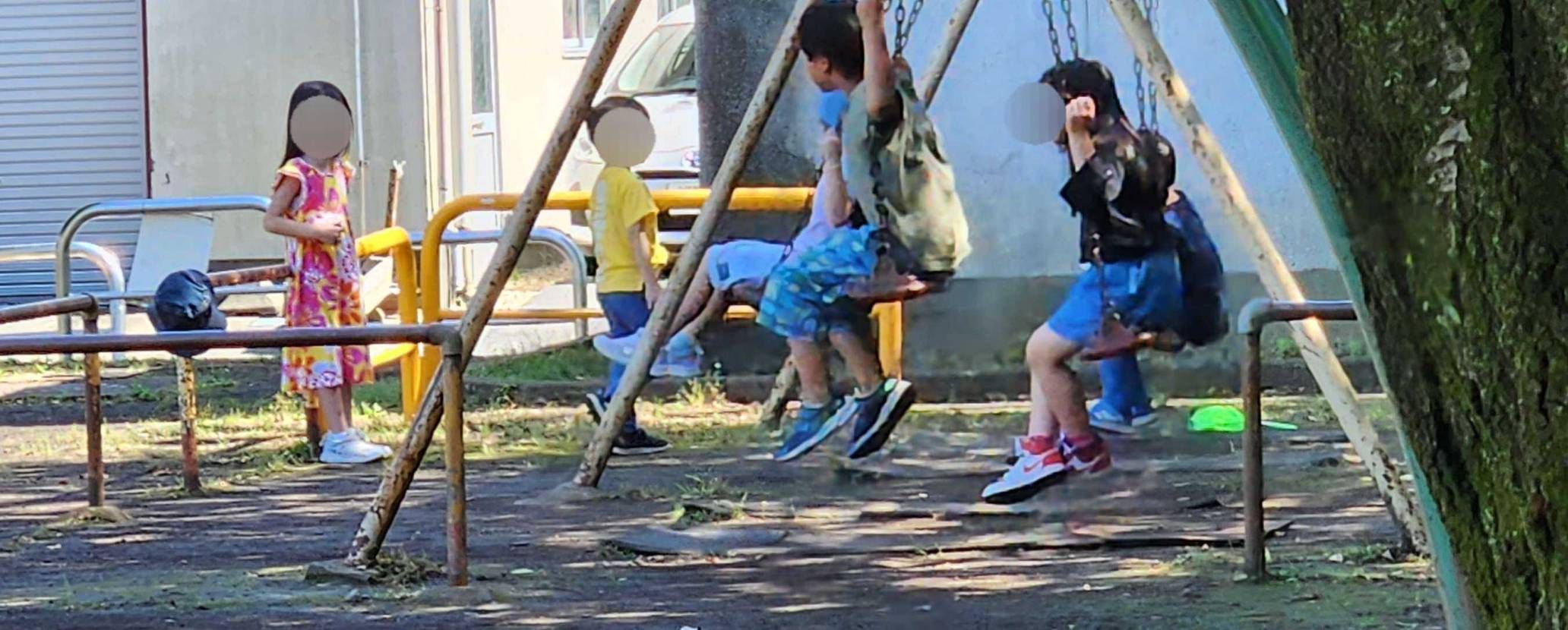 さて問題です、うちの子はどれでしょう
公園暑いて😲