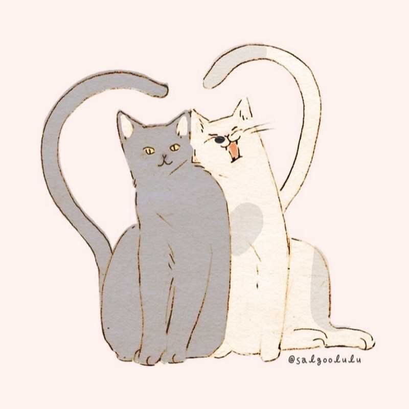 さくてぃん(出品者)