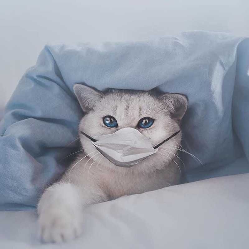 天風