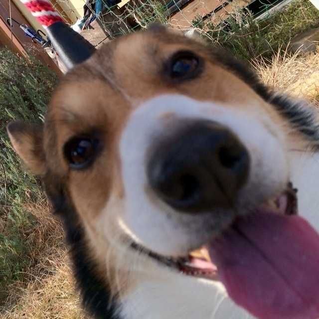 hana.hiro