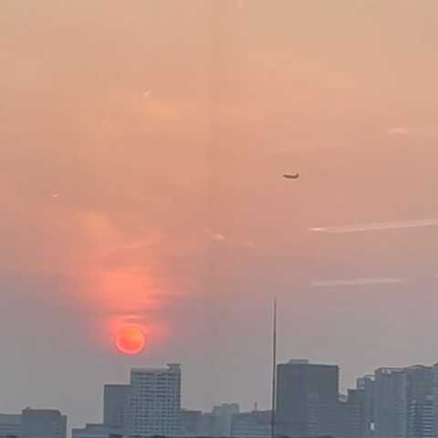 うさぎ