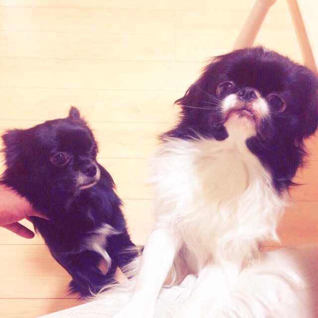 折田 篤生