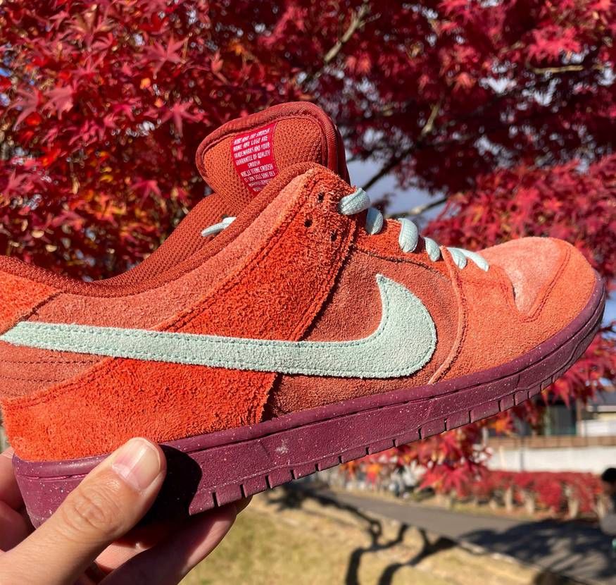 紅葉をバックに📷
