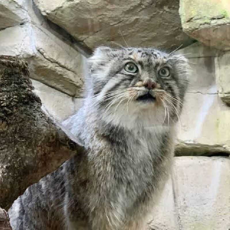 工藤