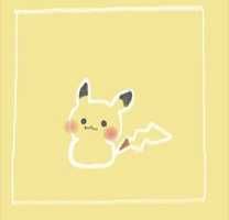 hachi