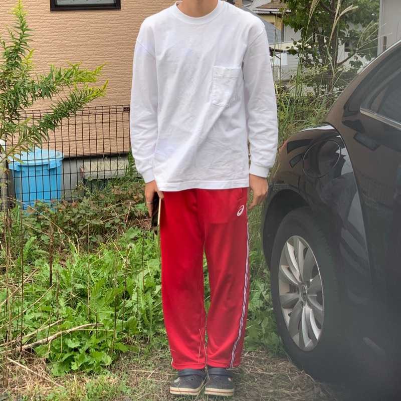 翼
