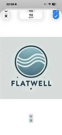 （株）FLATWELL(出品者)