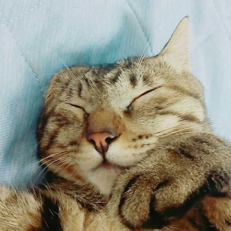 ゆうや
